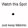 watch this spot