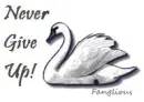 Never Give Up!