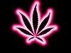 WEED