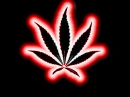 WEED
