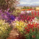 Beautifull Flowers