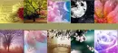 Art of god