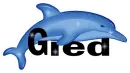 Gied