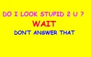 Stupid..........me?