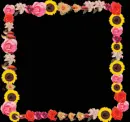 flowers-your welcome