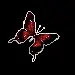 lilbtrfly