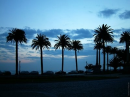 Tamareiras
