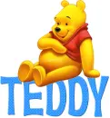 Winnie the Pooh - Teddy