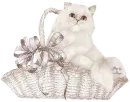 Cat Basket GlitterSparkled