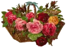 Red Roses Basket