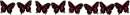 tnbtrfly