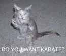 karate