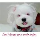 smile