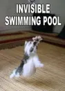 swimming