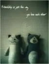 Friendship is just the way you love each other