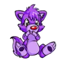 Purple Raccoon