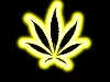 WEED