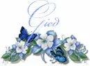 Gied
