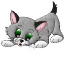 kitty