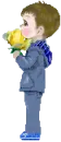 yellow rose