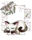 My Kitty