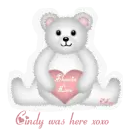 Teddy Bear