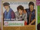 pinkberry picture
