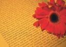 book & flower