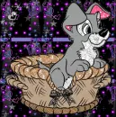  lady and the tramp pup