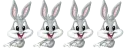 bunny