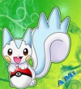 pachirisu