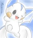 pachirisu