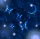 blue butterfly