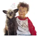 cuties