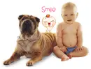 smile