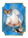 ducks