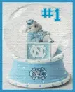 carolina snowglobe