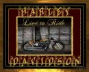 harley bike live to ride