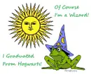 Frog Wizard