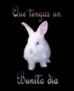 bunito