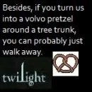 twilight