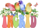 Colorfulbirds~Ingrid
