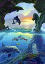 dolphins