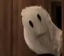 wtf