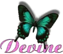 Devine