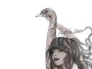 BJORK SWAN