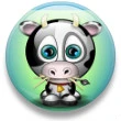 cute cow