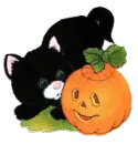black kitty