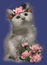 Kitty  with flowers