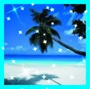 ocean and palm tree